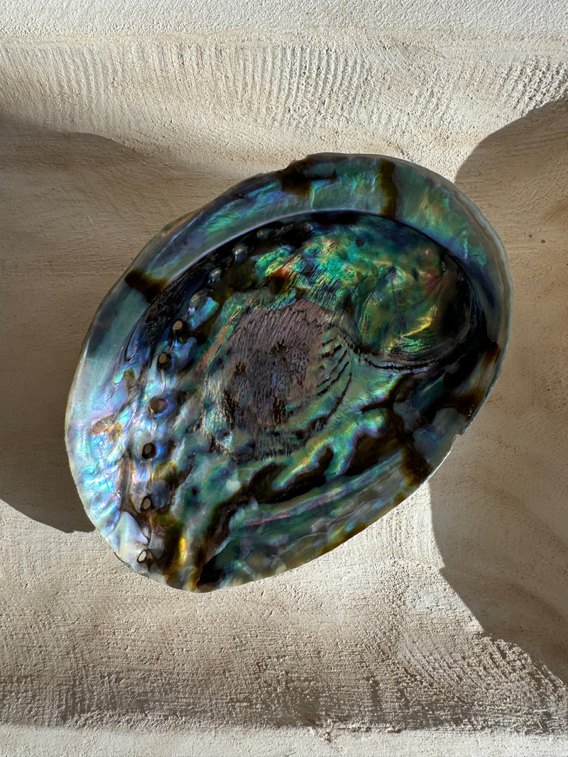 Abalone Shell Vessel - Large