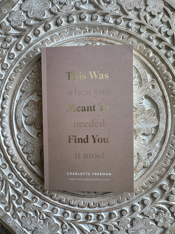 This Was Meant To Find You (When You Needed It Most) - Book by Charlotte Freeman
